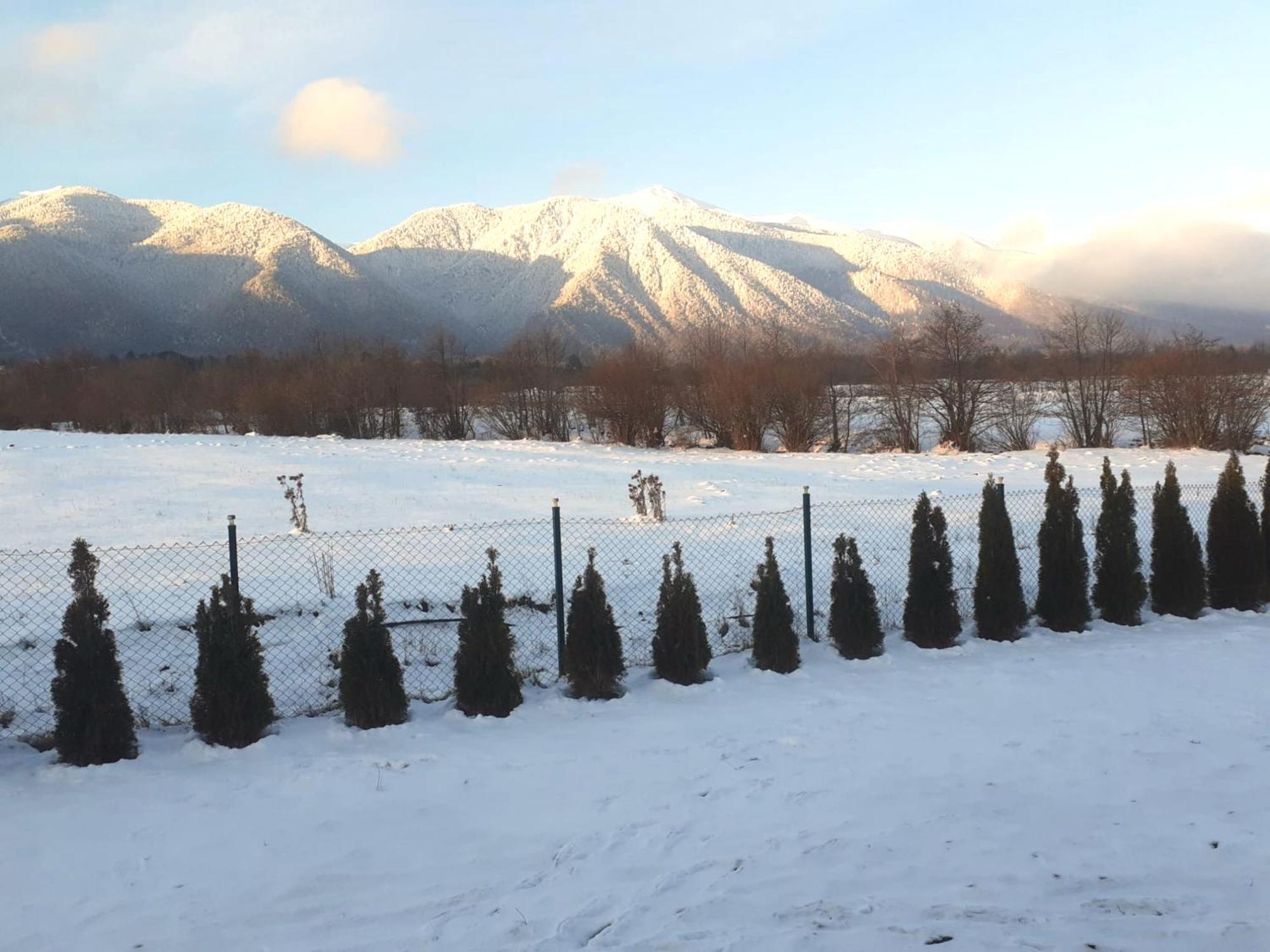Villa Raphael Near The Pirin Golf Resort 班斯科 外观 照片